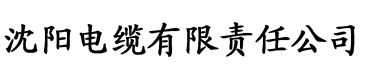 老司机推荐网站app电缆厂logo